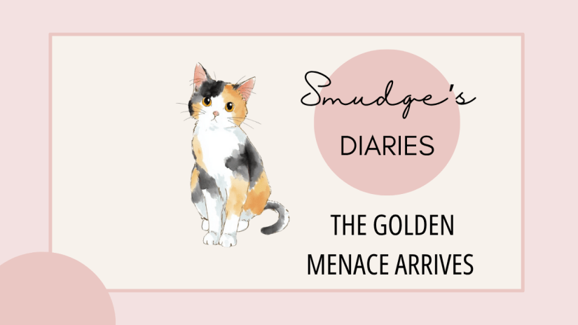 Smudge’s Diaries: The Golden Menace&nbsp;Arrives